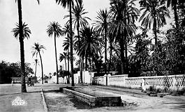 Laghouat-UnBoulevard