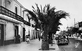 Lourmel-RuePrincipale-01