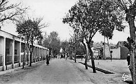 M-Sila-RueBordjBouArreridj