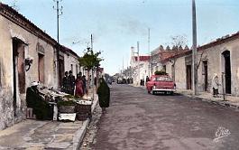 Mecheria-RuePrincipale-01