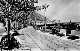 Mers-El-Kebir-AlleeCentrale