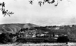 Miliana-VueGenerale-0