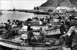 Nemours-Port-Pecheurs