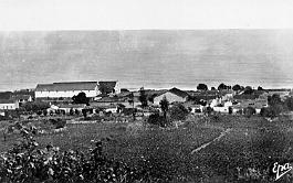 Novi-VueGenerale-CavesCooperatives