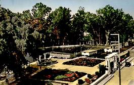 Palikao-Piscine-Jardins