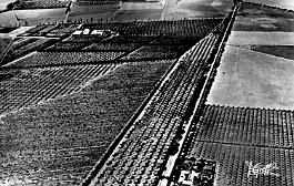 Relizane-VueAerienne-01