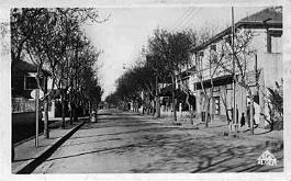 Rouiba-AvenueAinTaya-01