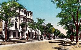 Setif-AvJeanJaures-01