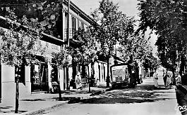 Teniet-El-Haad-AvDuSersou