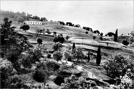 Teniet-El-Haad-ColonieVacances