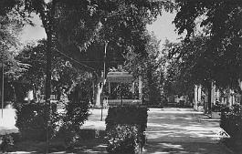 Teniet-El-Haad-LeSquare