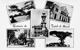 Teniet-El-Haad-MVues