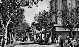 Teniet-El-Haad-RuePrincipale-Hotel