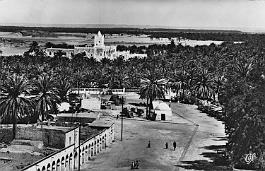 Touggourt-VueOasis-Hoteltransatlantique