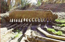 Timimoun-LeGrandPeignePalmeraie