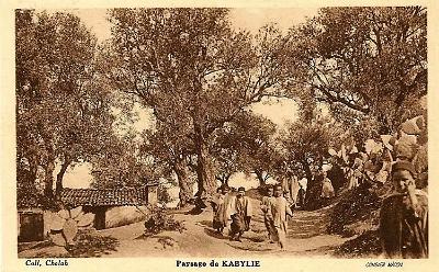 Paysage Kabyle-04