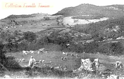 Azazga-VueGenerale-08