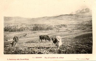 Boghni-VueGenerale-02