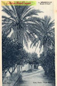 Menerville-RteAlger