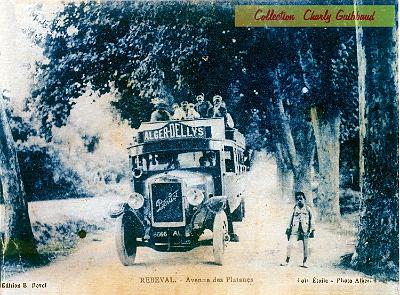 Rebeval-AvenuePlatanes