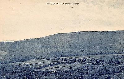 Yakouren-DepotLiege-01