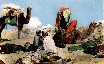 Agouni-Gueghrane-Nomades