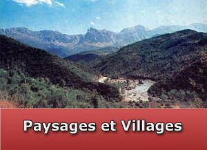 Paysages