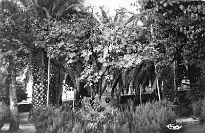 Azazga-MonumentMorts