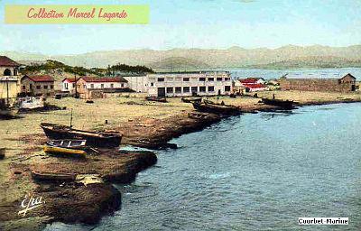 Courbet-Marine-Conserverie