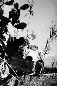 Dra-El-Mizan-MeilleursVoeux