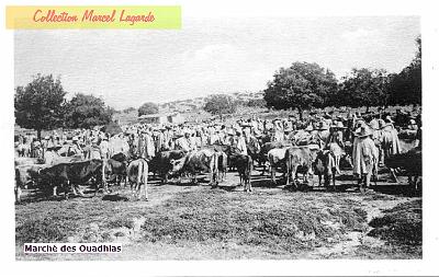 Ouadhias-Marche