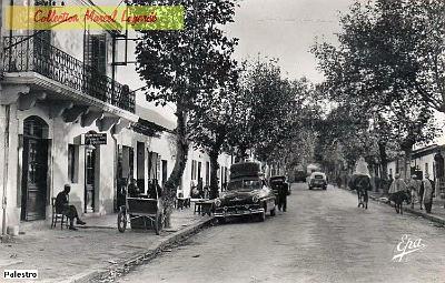 Palestro-AvenueConstantine