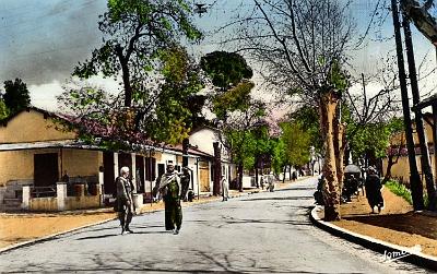 Palestro-GrandeRue-01