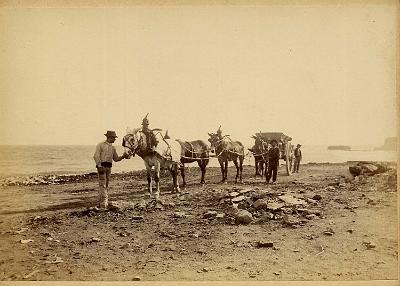 Alger-NettoyagePlage