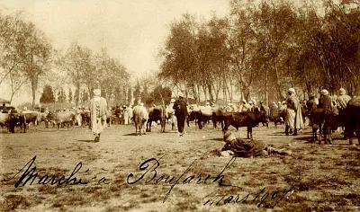 Boufarik-Marche-1907