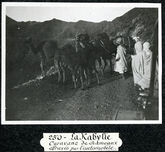 Tirourda-Chameaux-001