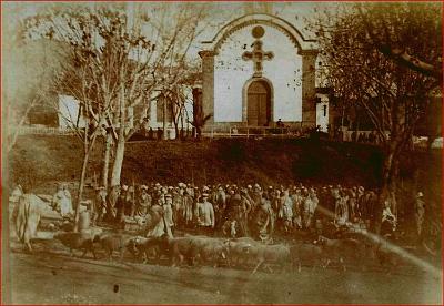 Tizi-Ouzou-MarcheMoutons